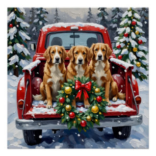 Póster Nova Scotia Duck Tolling Retriever Natal Vermelho