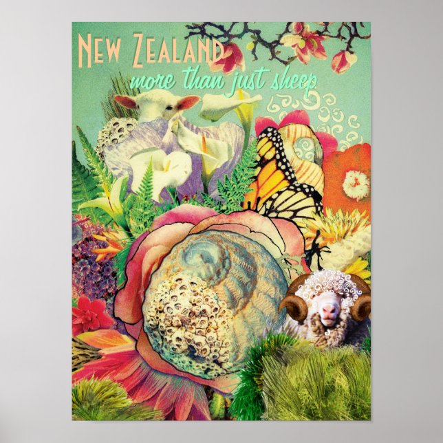 Póster Nova Zelândia mais do que só ovelhas (Frente)
