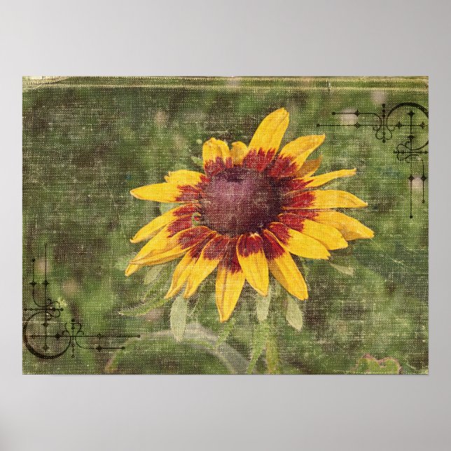 Póster Novamente uma Flor (Frente)