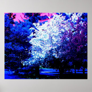 Póster Novas Cores de Primavera