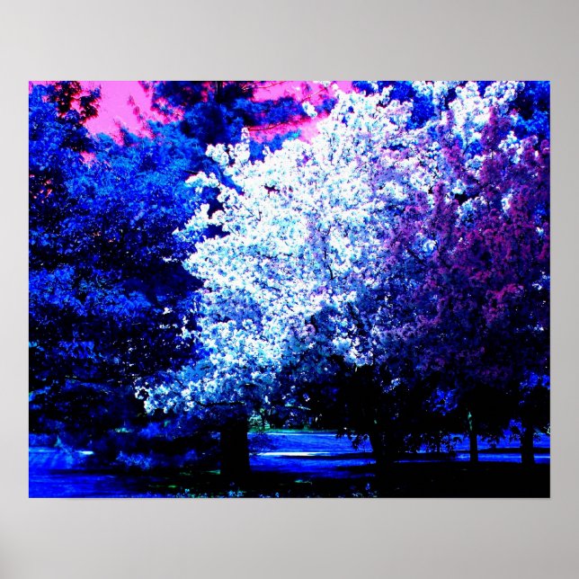 Póster Novas Cores de Primavera (Frente)