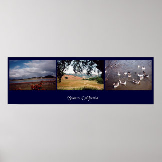 Póster Novato, Califórnia