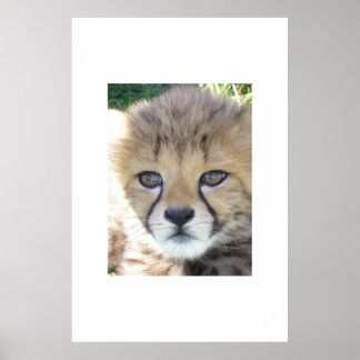 Póster Novembro doce