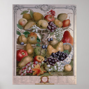 Póster Novembro 'doze meses das frutas