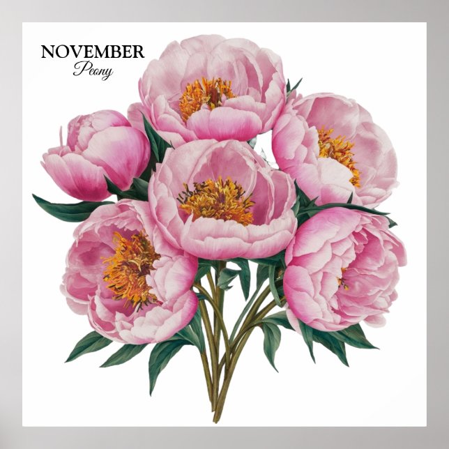 Poster Novembro Peony Bloom - Presente de Aniversário Per (Frente)