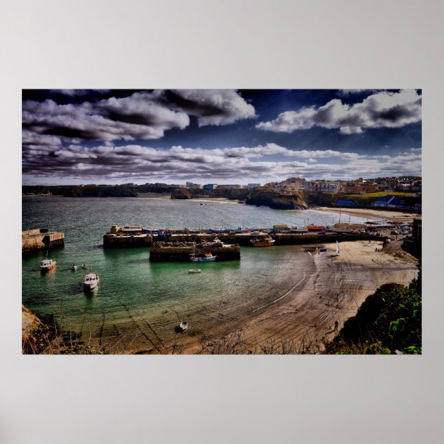 Poster Novo (Frente)