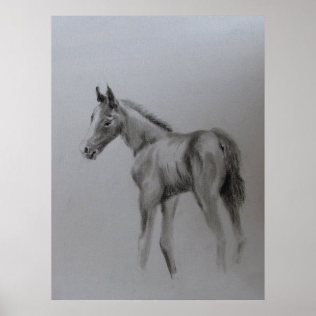 Póster Novo Bebê (Frente)