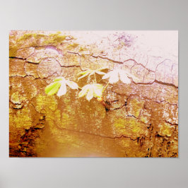 Poster Novo Crescimento No Tronco De Árvore Fallen