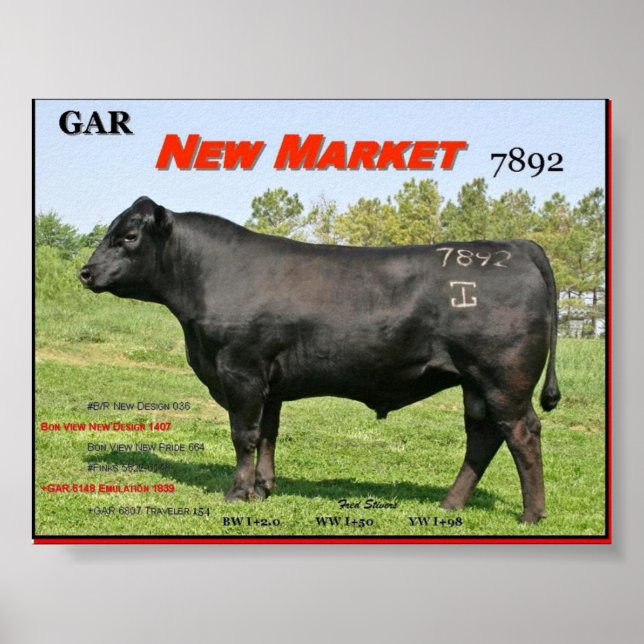 PÓSTER NOVO MERCADO DE TAG (Frente)