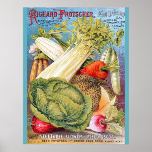 Poster Novo Orleans Vintage Seed Store