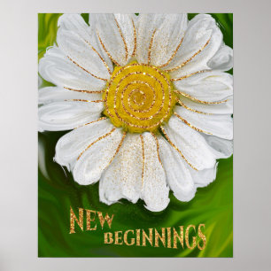 Poster Novos começos - Poder das flores margaridas
