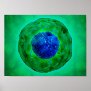 Poster Núcleo de pilha com cromossoma 1