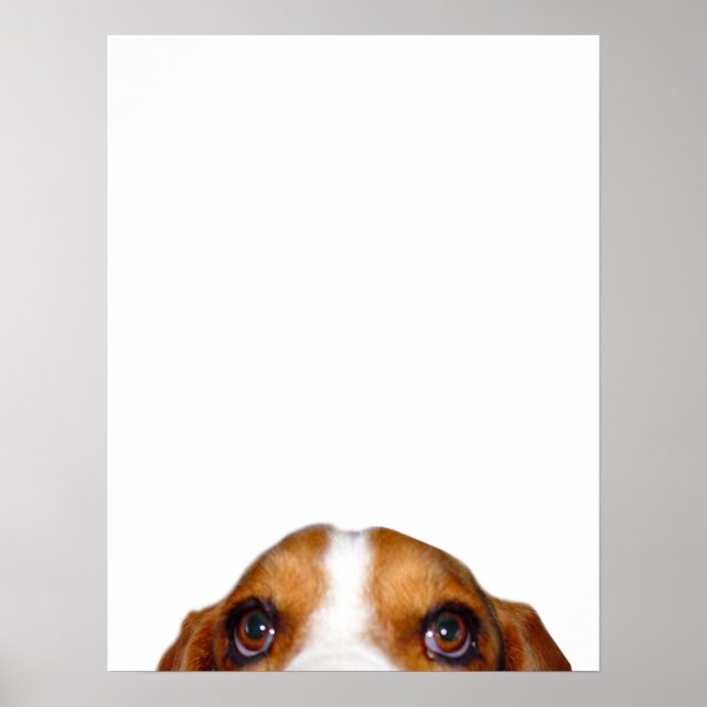 Poster 'Nuff Said! (Frente)