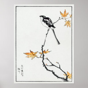 Poster Numata Kashu - Tit e Maple de cauda longa japonesa