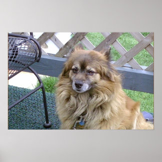 Póster Número Um Filho