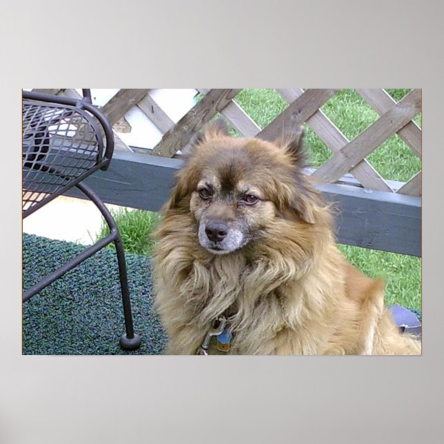 Póster Número Um Filho (Frente)