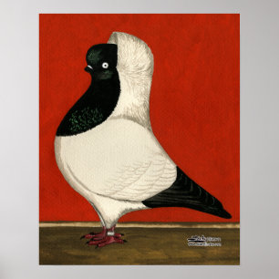 Póster Nun Pigeon Negro