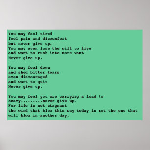 Poster Nunca desista