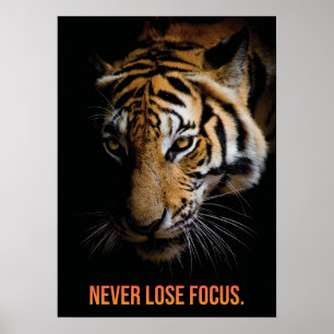 Poster Nunca Foco no Perder - Tigre, Sucesso, Empreendedo