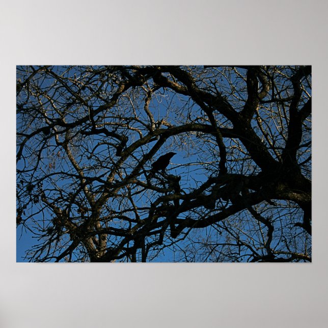 Poster Nunca mais (Frente)