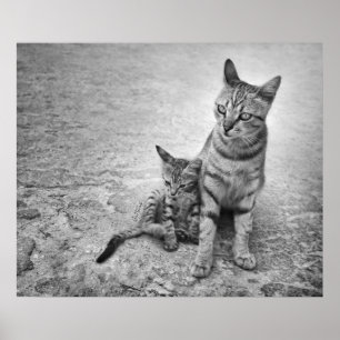 Póster Nunca Me Deixe Sozinha