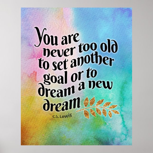 Poster Nunca muito velho para sonhar (Frente)