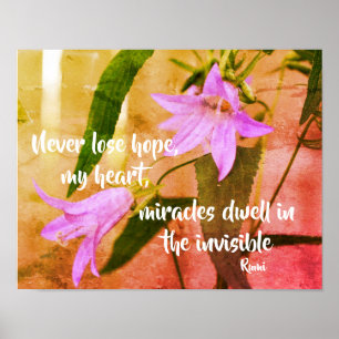 Poster Nunca Perder Esperança Rumi Citação Inspiracional