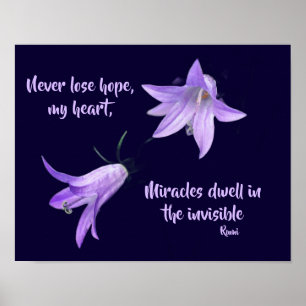 Poster Nunca Perder Esperança Rumi Citação Inspiracional
