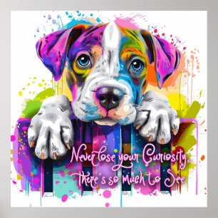 Poster Nunca Perder sua curiosidade, há tanto a ver