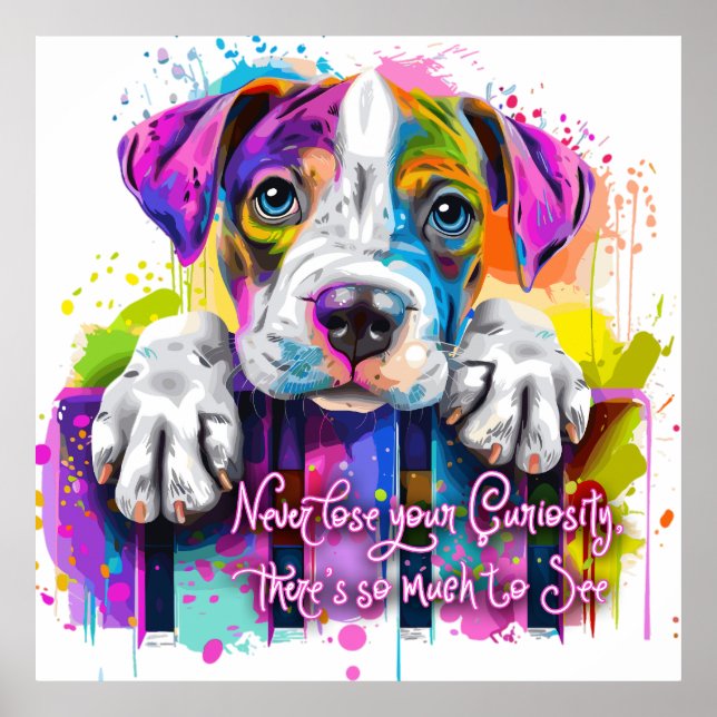 Poster Nunca Perder sua curiosidade, há tanto a ver (Frente)