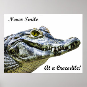 Poster Nunca sorria num crocodilo!