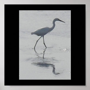 Póster Nunca Sozinha