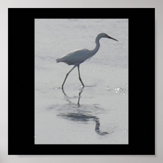 Póster Nunca Sozinha