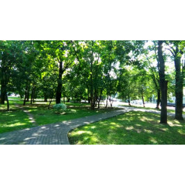 Poster Nunca! Talvez.