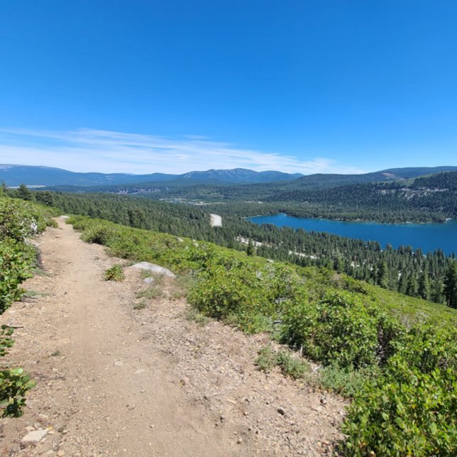 Poster Nunca! Talvez. (Criador carregado)