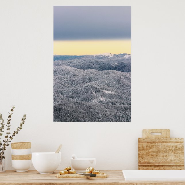 Poster Nuvens escuras céu ensolarado e floresta de invern (Cozinha)