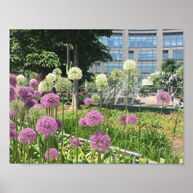 Póster NYC Columbus Circle Nova Iorque Purple Allium (Frente)