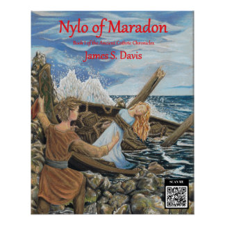 Póster Nylo do poster Maradon. Arte de Emily Stoll.