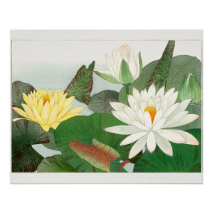 Póster Nymphaea lotus, xilogravura japonesa, 1917