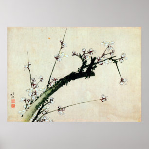 Poster o 梅花, ameixa do 北斎 floresce, Hokusai, Ukiy