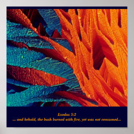 Póster O Abstrato Burning Bush