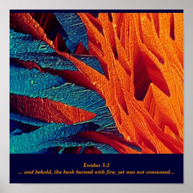 Póster O Abstrato Burning Bush (Frente)