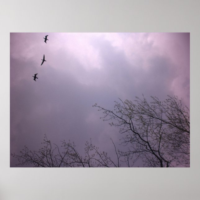 Póster O Alto Aspirante é a nossa natureza - o céu de Tor (Frente)