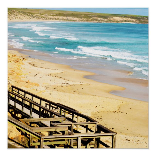 Póster O Alto Nível Está Chegando. (Frente)