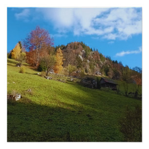Póster O Alto Prado - Natureza Selvagem Romênia