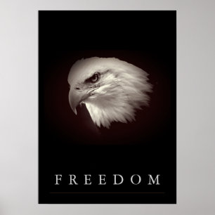 Póster O americano acastanhado Eagle da liberdade