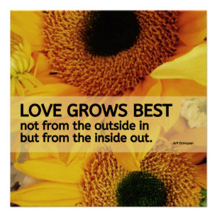 Póster o amor 20x20 cresce poster o melhor/do girassol