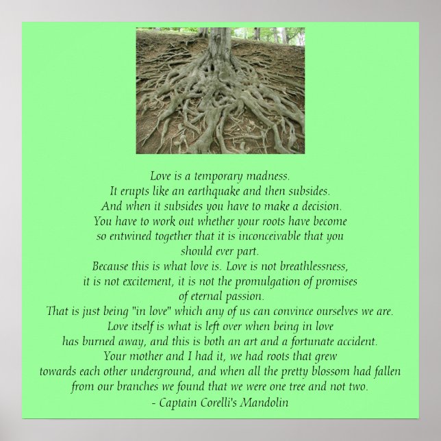 Poster O Amor É... (Frente)