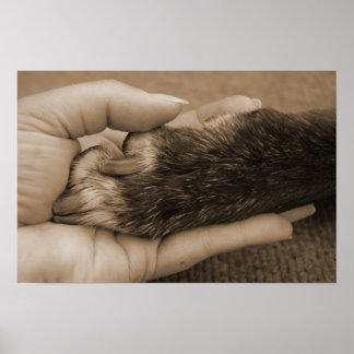 Poster O amor é incondicional