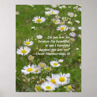 Póster O amor é lindo